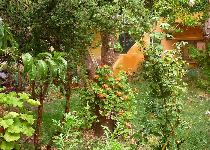 La Casa Feliz Bed and breakfast *